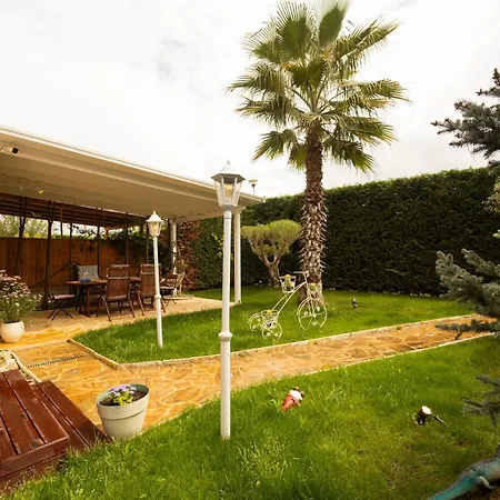 Ingrit Gjoni فيلة دراس