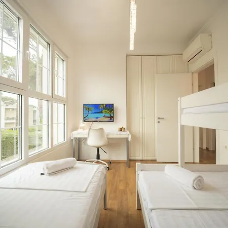 فيلة Ingrit Gjoni