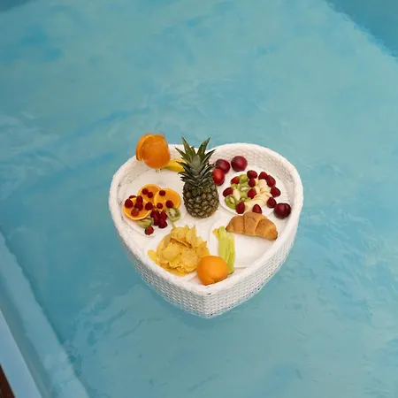 فيلة Ingrit Gjoni دراس