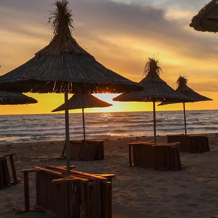 Ingrit Gjoni فيلة