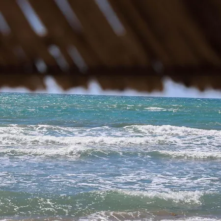 Ingrit Gjoni فيلة